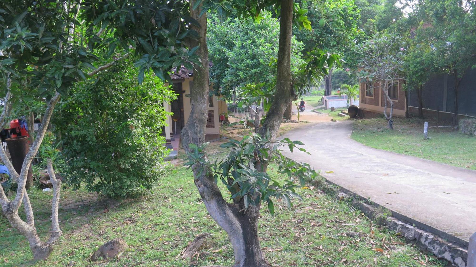 Mangrove Inn Karimunjawa Luaran gambar