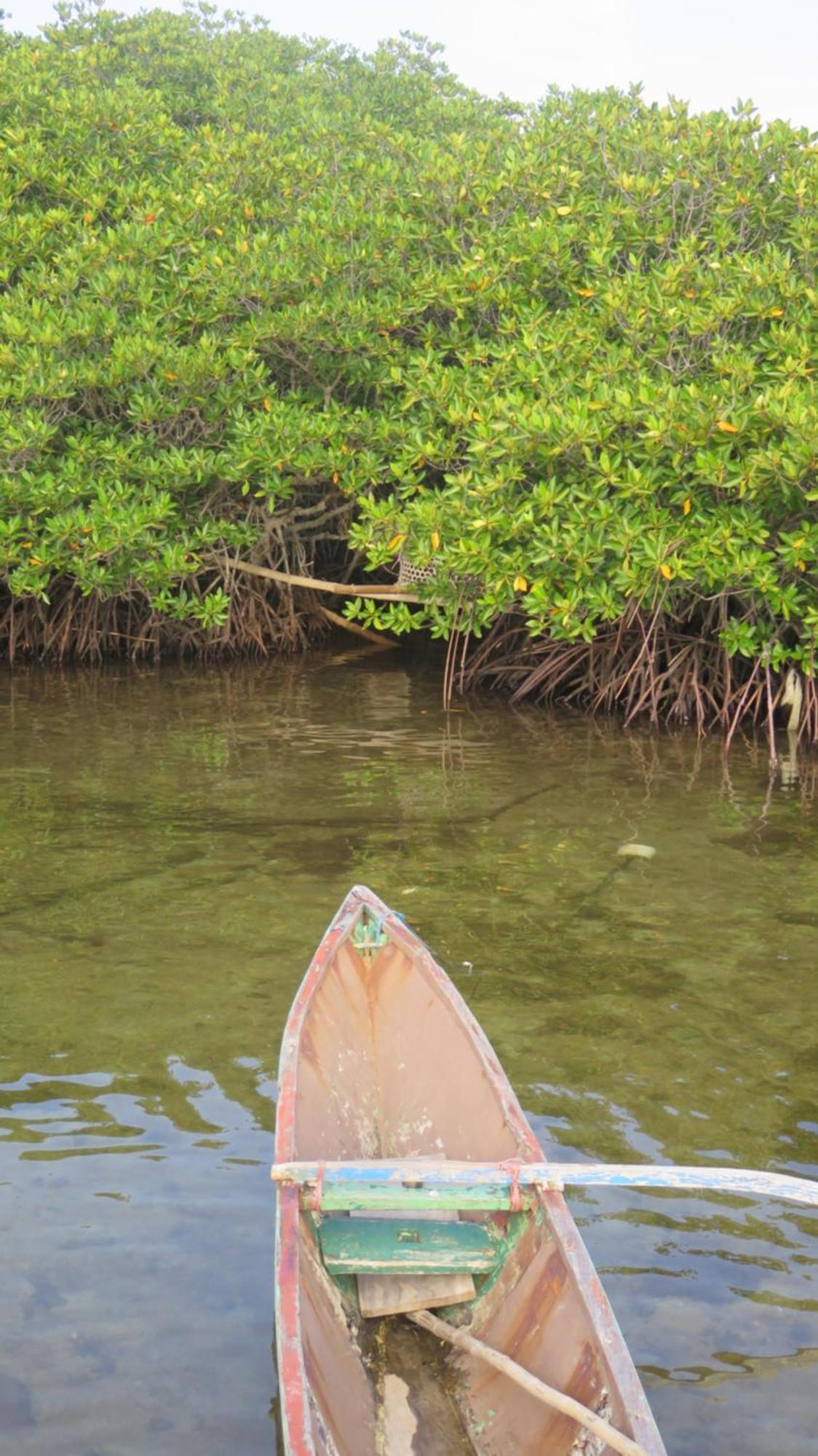 Mangrove Inn Karimunjawa Luaran gambar