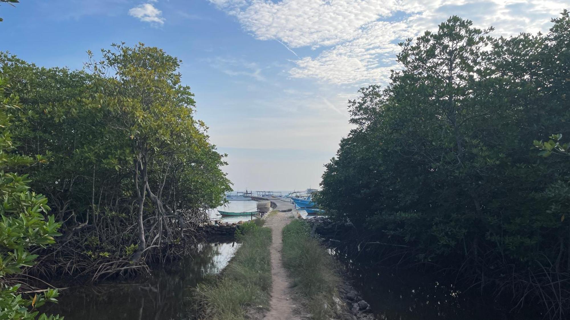 Mangrove Inn Karimunjawa Luaran gambar