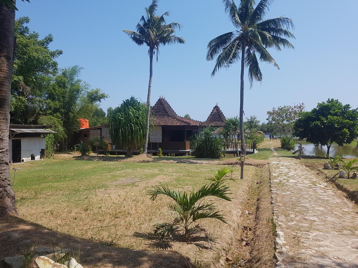 Mangrove Inn Karimunjawa Luaran gambar